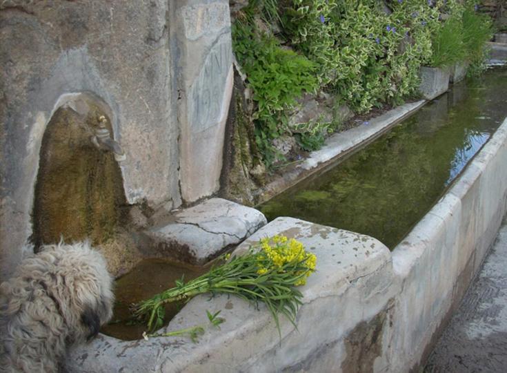 Casa Rural Vilaspasa, Alquiler Integro Gotarta Exteriér fotografie